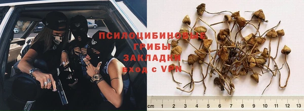 мет Надым