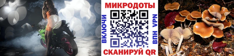 мега ссылка  Шебекино  Галлюциногенные грибы GOLDEN TEACHER  сколько стоит 